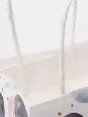 Пакет подарочный, 12х21х9 см