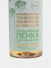 Очищающая пенка для умывания лица, шеи и зоны декольте Stem Cells Collection