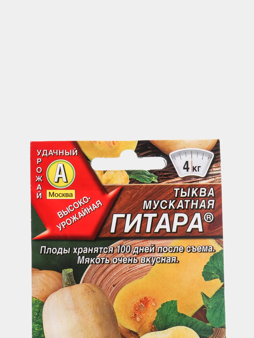 Тыква гитара отзывы. Тыква гитара отзывы