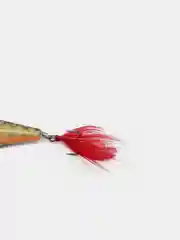 Воблер "Sprut" Aji Pop 75TW (Top Water/75mm/8,5g/Top Water/BRSC)