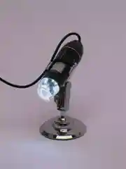 Микроскоп, микроскоп детский, микроскоп школьный, микроскоп цифровой USB,электронный 1000x