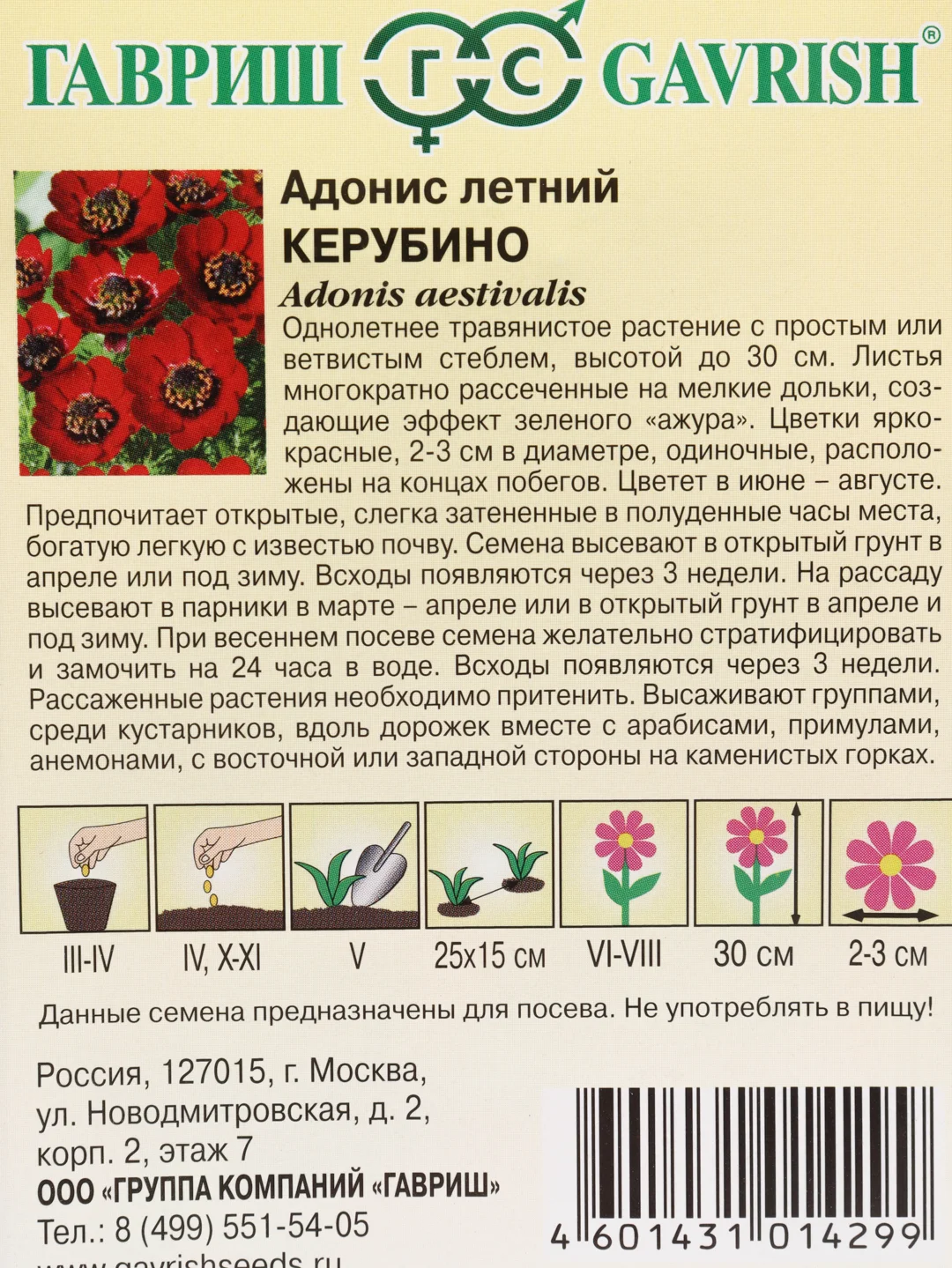 Адонис "Керубино" семена цветов