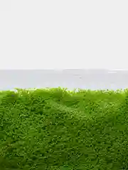 Лайм искусственный мох для моделирования и декорирования, 5 гр