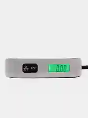 Безмен для багажа 50 кг точность 10г