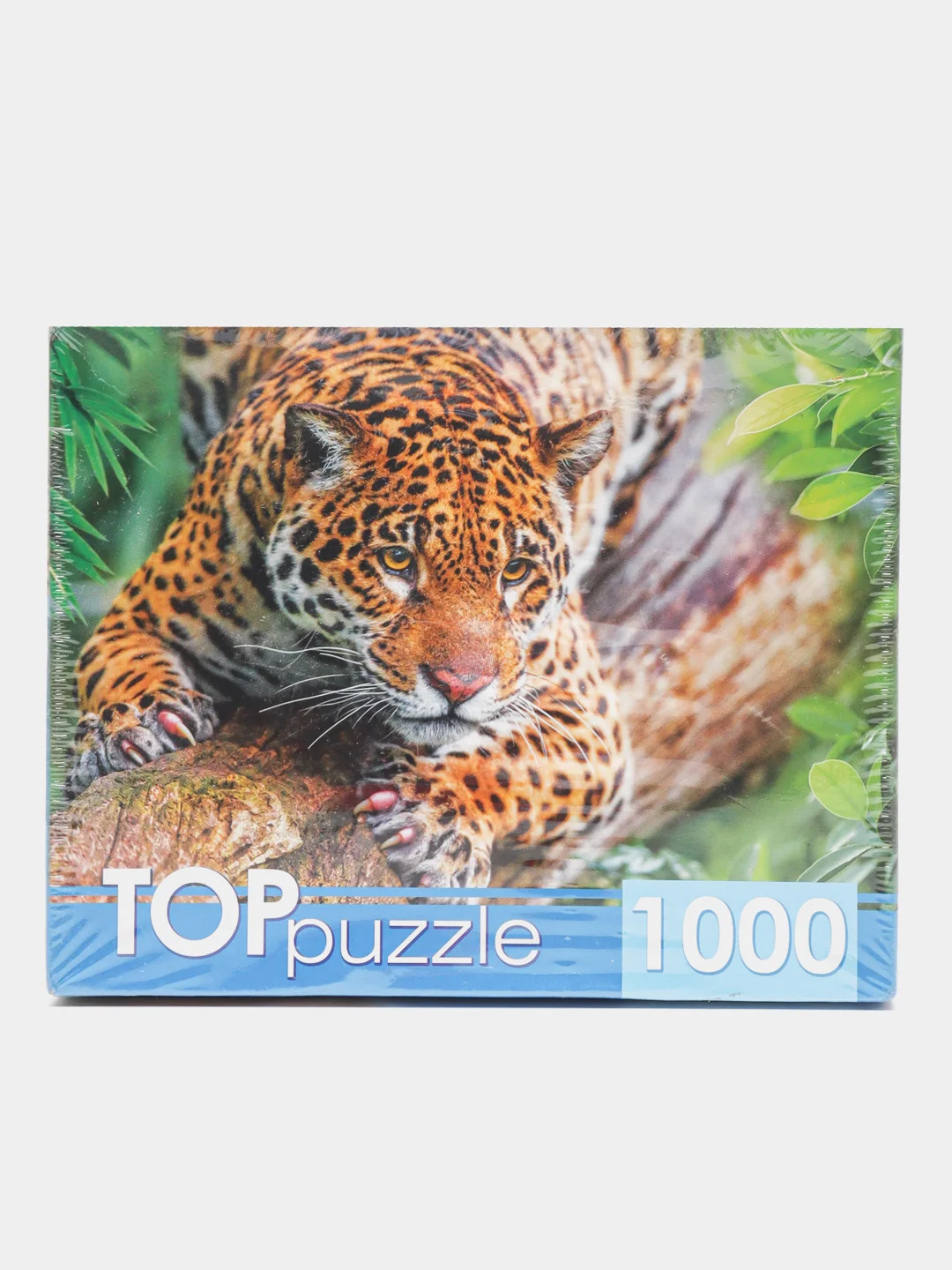 Лимонный пазлы, 1000 элементов