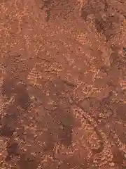 Портьера коричневая "Лувр", 170*260 см