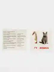 Терракотовый развивающие карточки по методике Г. Домана для детей, 12 карт, А6, 3+