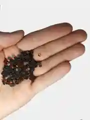 Медный стразы стеклянные, термоклеевые