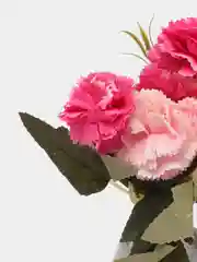 Розовый искусственные цветы, гвоздики