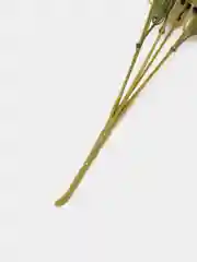Белый искусственные цветы, гвоздики