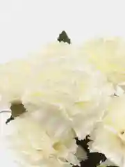 Белый искусственные цветы, гвоздики