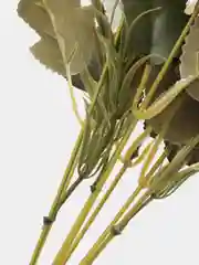 Белый искусственные цветы, гвоздики
