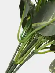 Розовый искуственные цветы Фрезии