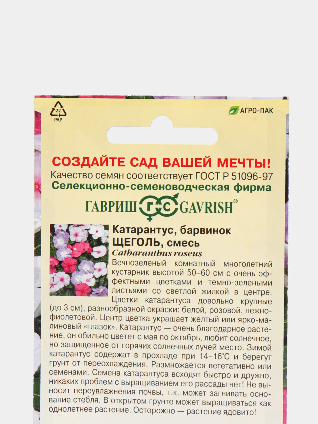 Барвинок Щеголь (семена,цветы)