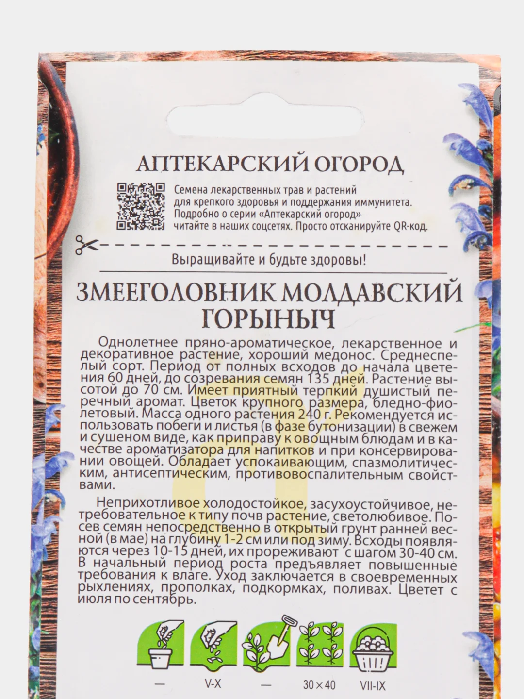 Семена Змееголовник "Горыныч"