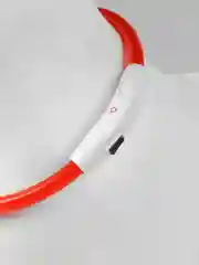 Красный светящийся ошейник для собак