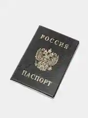 Черный обложка на паспорт