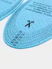 Ледяной стельки для обуви