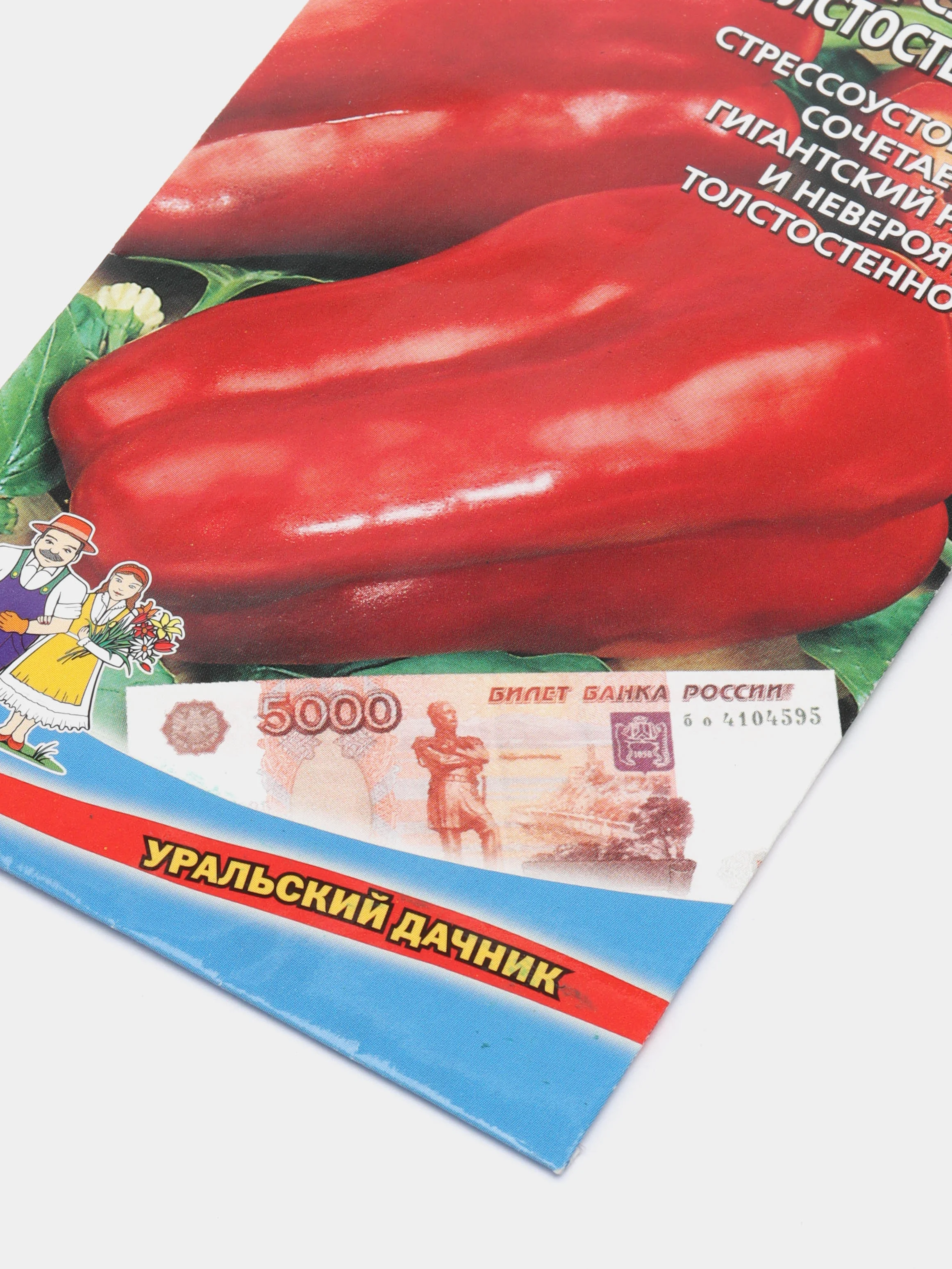 Семена Перец "Уральский толстостенный"