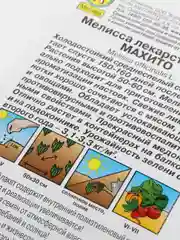 Семена Мелисса Махито