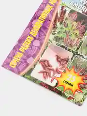 Семена "Аморфа кустарниковая"