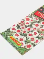Гвоздика Клубничное суфле (семена,цветы)