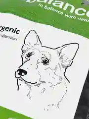 Корм сухой ProBalance "Hypoallergenic" для взрослых собак всех пород, 15 кг