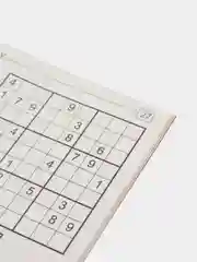 Журнал Судоку (Ума палата)