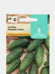 Семена Огурец "Феникс Плюс"