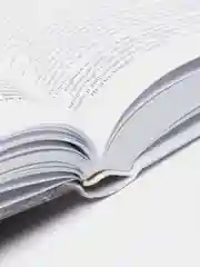 Источник (в 2-х книгах)