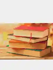Коралловый алмазная мозаика вышивка Milato Книжный бум, дизайн на выбор