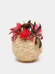 Круглый шар с золотистыми кофейными зёрнами и ярко розовыми цветами
