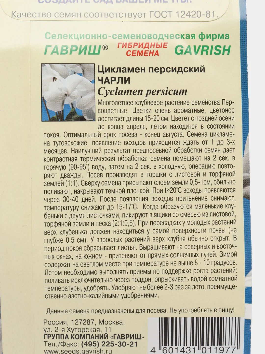 Цикламен персидский "Чарли"