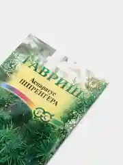 Аспарагус Шпренгера (семена,цветы)