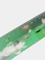 Линейка 3D, 20 см, BRAUBERG, объемная, "Кувшинки", европодвес, 210568