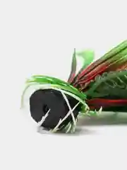 Растение для аквариума Plant 027 Папоротник зеленый, высота 10 см