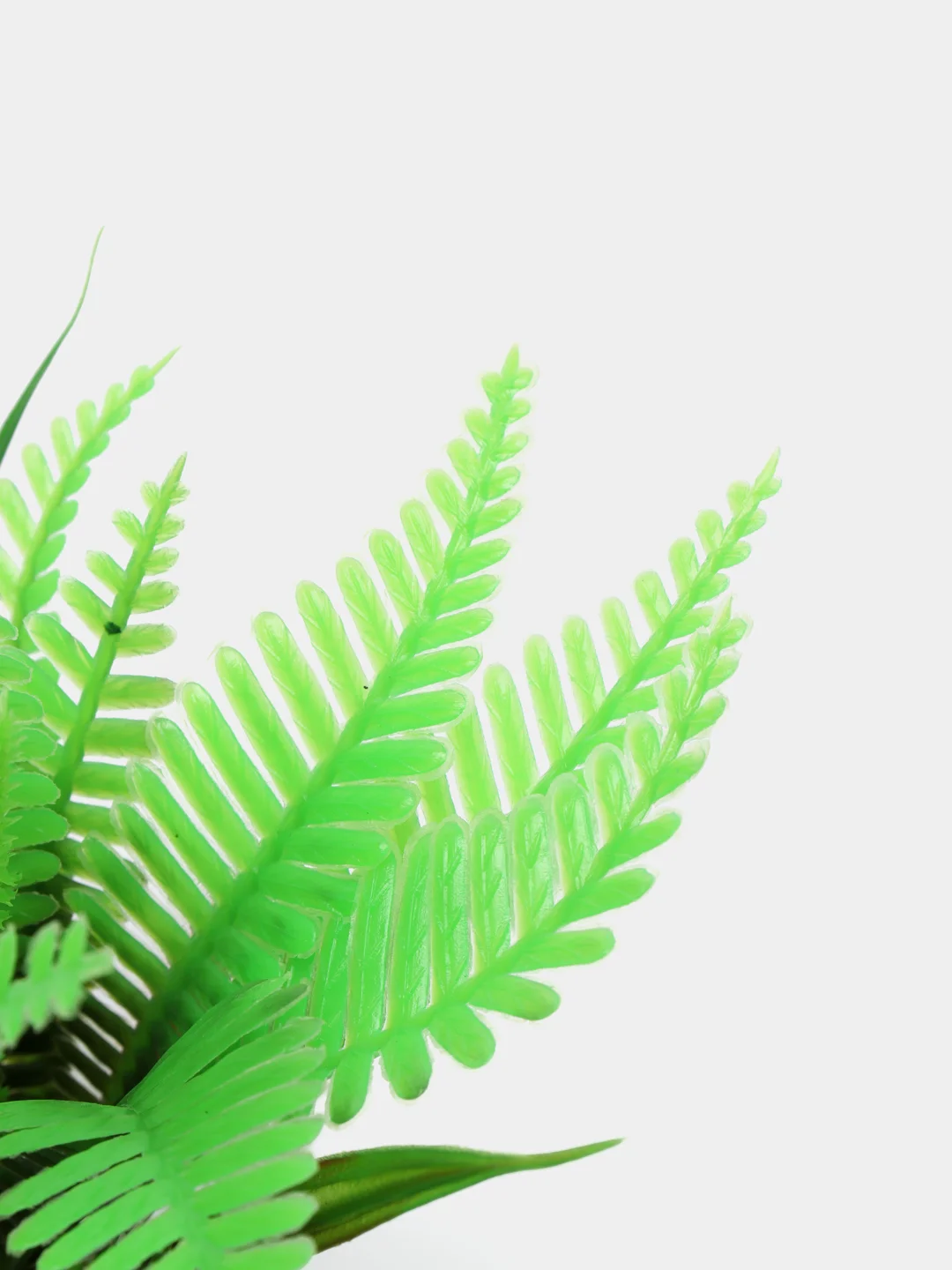 Растение для аквариума Plant 027 Папоротник зеленый, высота 10 см