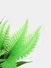 Растение для аквариума Plant 027 Папоротник зеленый, высота 10 см