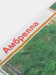 Семена "Укроп Амбрелла"
