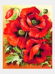 Алмазная мозаика вышивка Milato Маки