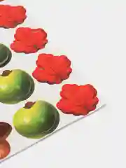 Перекати ёжика
