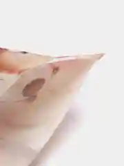 Слоновая кость пакет подарочный