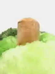 Мягкая игрушка авокадо