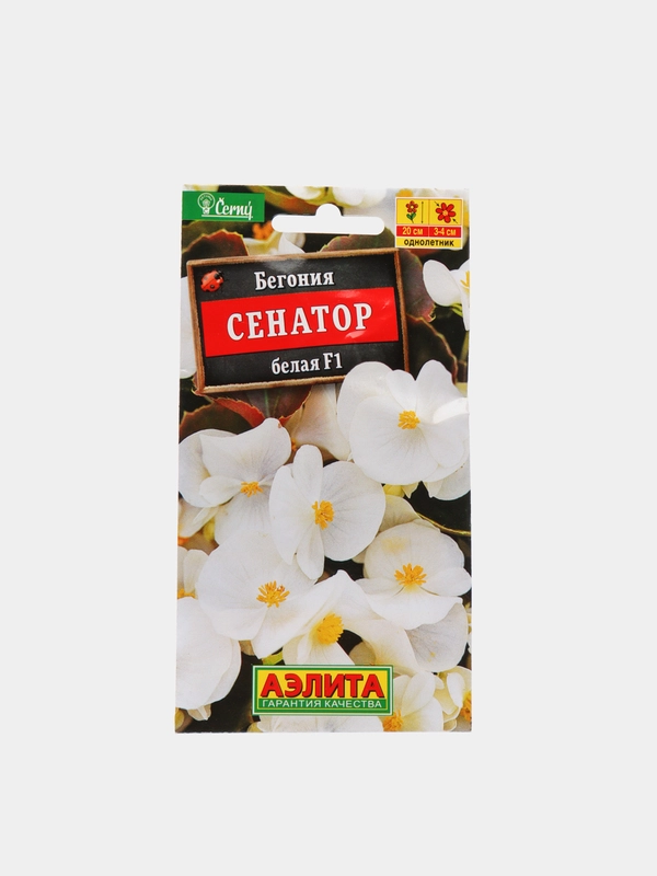 Бегония Сенатор белая (семена,цветы)