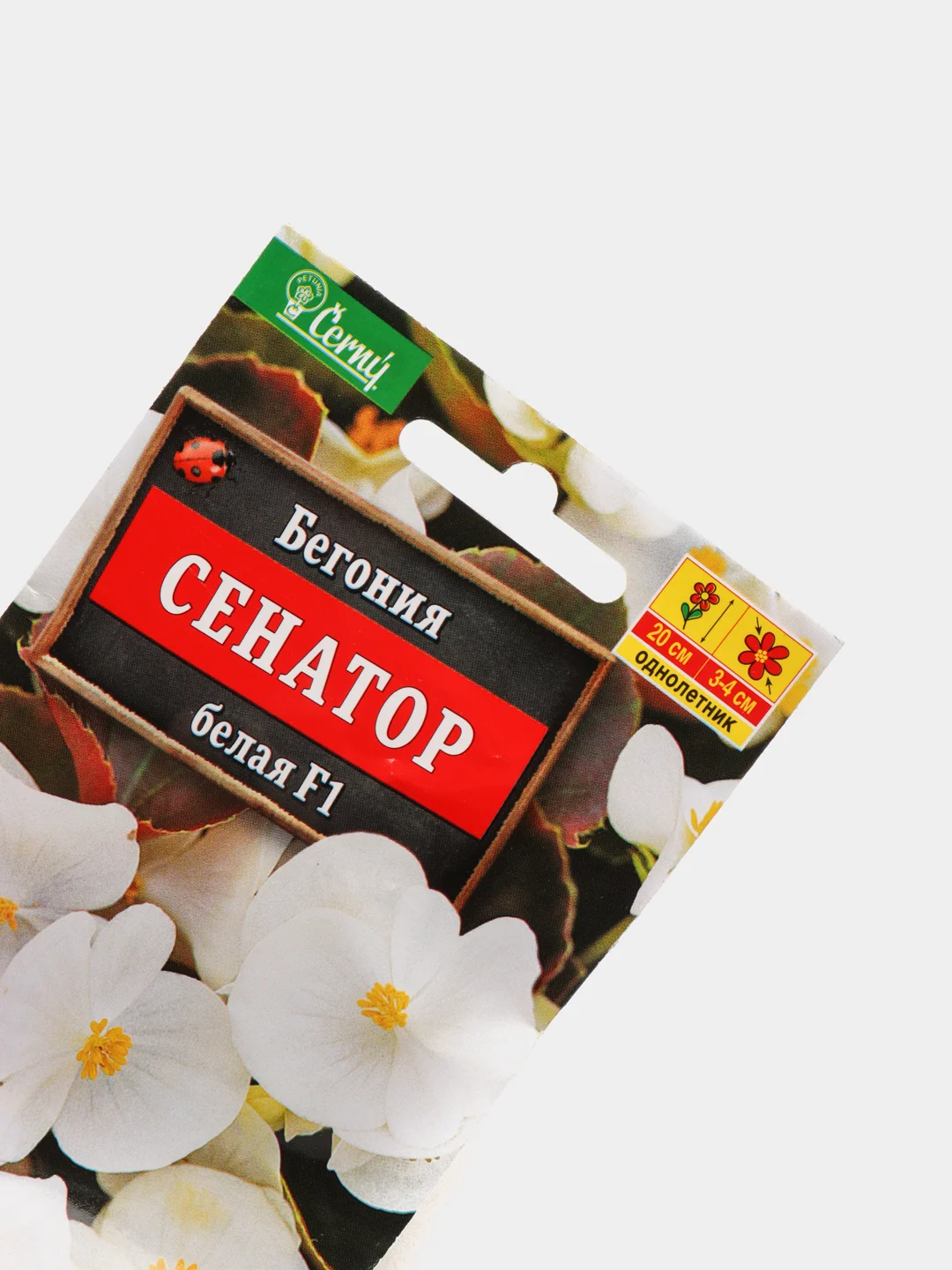 Бегония Сенатор белая (семена,цветы)