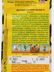 Бегония Сенатор белая (семена,цветы)