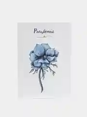 Открытка анемона "Расцветай" 10х15 см в крафтовом конверте