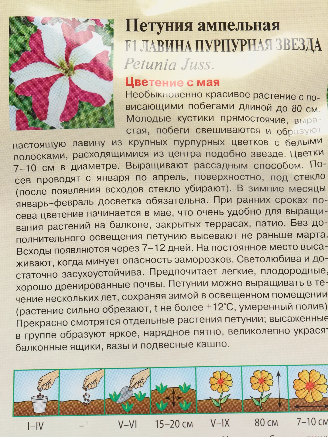 Петуния "Лавина пурпурная звезда" семена, цветы