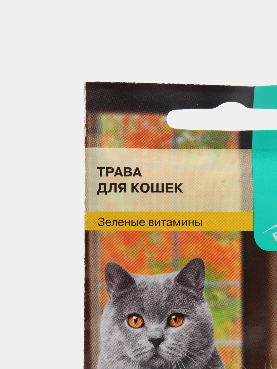 Трава для кошек семена