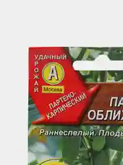 Семена Огурец Пальчики оближешь раннеспелый
